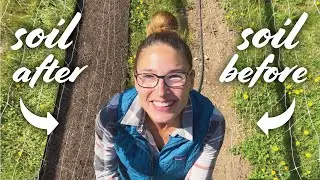 My Vegetable Garden Soil Preparation Routine (pH, Fertilizer, Amendments, Edging)