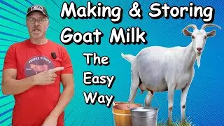 How To Easily Store And Make Goat Milk Anytime You Need It