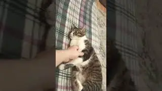 Я просто положил руку 