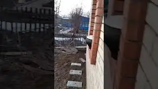 Жизнь на даче. Ч-1