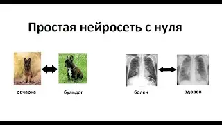 Создаем свою нейросеть за пару часов. Искуственный интеллект своими руками.