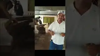 MUEBLES Y ARTESANÍAS