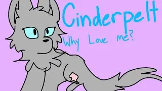 Cinderpelt//Why love me?// Animation meme// FlipAClip