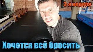 3-я неделя тренировок по боксу. 🥊 В БОКС ПОСЛЕ 30 лет