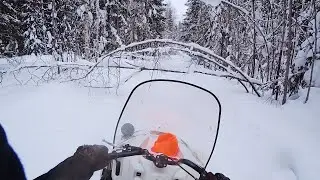 Купил МЕЧТУ Браконьера