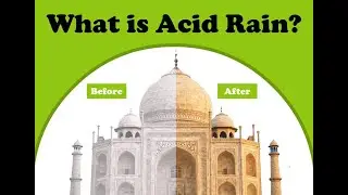 What is Acid rain? | Acid Rain | Effects of Acid Rain
