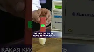Зачем знать кислотность молока? Полный обзор на Boosty.  #чекфуд #обзорыеды #молоко