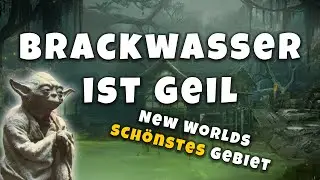 Brackwasser is sooooooo gut #newworld #mmo