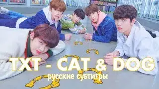 TXT - Cat & Dog рус. саб (rus sub)