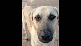 поехали