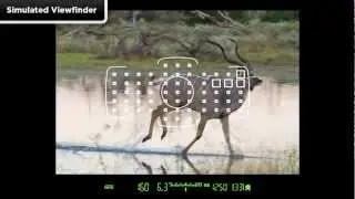 Canon EOS 5D Mark III - Tutorial AI Servo Adjustments 3/14