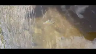 Рыбалка на Дону  ⚜