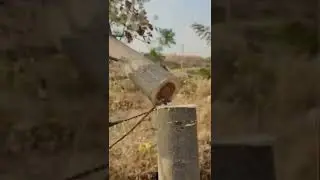 قطع الشجره بالجنزير