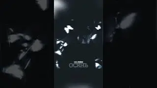 Lil Neks  - Осеньprod  by THE BRØNXXX 