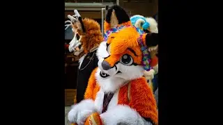 2. Ulmer Suitwalk der Ulmer Furs