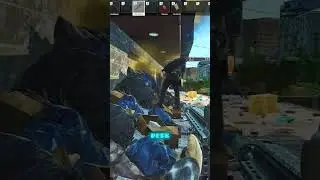 Honey missed an army