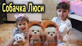 Обзор Игрушек! Собачка Люси! Интерактивная игрушка Щенок! Щенок Люси!