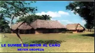 le sumbe su amor al caño