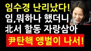 임수경 난리났다! 임,뭐하나 했더니 北서 활동 자랑삼아 尹탄핵 앵벌이 나서!