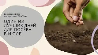 902. Сеять будем 3 июля? Давайте вместе.