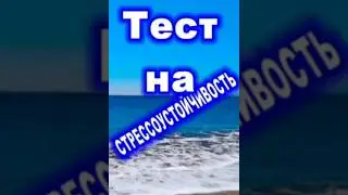 Тест на стрессоустойчивость 