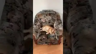 Золотой ребенок по имени Клёпа