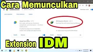 Cara Memunculkan Extension IDM di Google Chrome