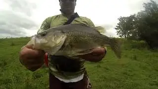 Land Base Bass Fishing