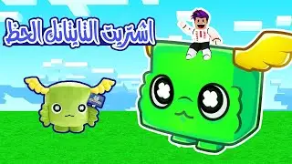 رحلة البحث عن التايتانك الحظ اشتريت تايتانك جديد Pet Simulator X😱
