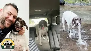 River Was Diagnosed With Epilepsy And Surrendered | The Asher House