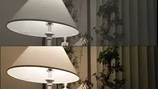 Canon R6 Mark II | RAW CLOG3 Video Test - 1