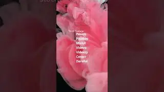 Best Websites for Free Video Editing Asset | أفضل المواقع للحصول علي ادوات المونتاج المجانيه