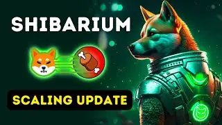 Shibarium Scaling Update
