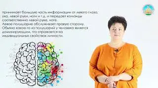 Нозадзе Я.С. Техники самопознания. Наш мозг.