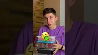 KFC спустя 365 дней!🤮Что стало?