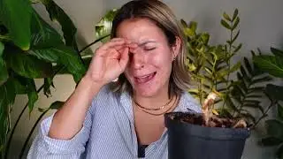 My Top Hardest Houseplants! | Difficult Indoor Plants to Care For!