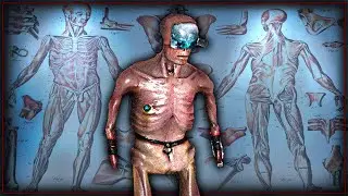 La PESADILLA del Horror BIO MECÁNICO