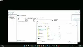 import pfx certificate to iis
