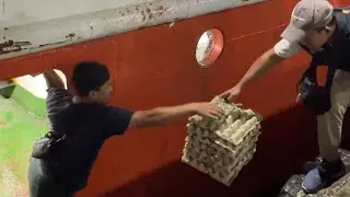 Kebakaran hebat di Kab Mamberamo Raya, Papua