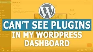 🤔 Why Can't I See Plugins in my WordPress Dashboard