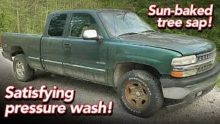 Silverusto's first wash in roughly 10 years! - Stuck-on Tree Sap - Featuring Super Clean®