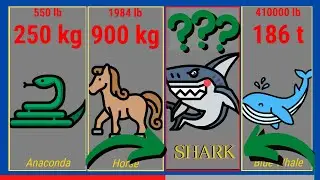 Heaviest Animals on Earth ❗ Weight Comparison