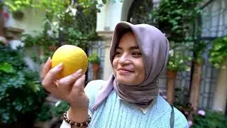 Andalusia for Muslim travelers, experience Andalusia - Spain