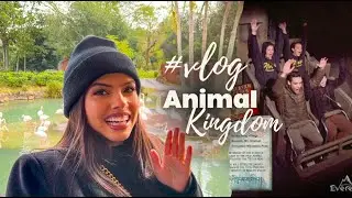 VLOG NO PARQUE DA DISNEY ANIMAL KINGDOM! Valores, atrações,  fura filas e ainda achados e perdidos.