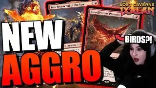 ANGRY BIRDS OP😲New Mono Red AGGRO Deck!🔥MTG Ixalan Gameplay & Deck Tech