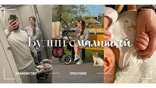 VLOG // Будни молодой мамы // Массаж грудничку // Фитнес