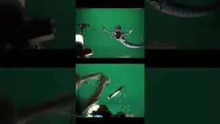 Creature flys on Greenscreen..stop mo 