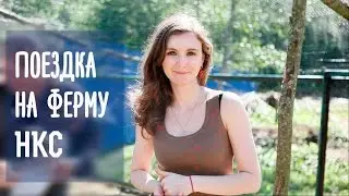 Поездка на ферму НКС | Знакомство с фермой | Только проверенные фермеры в биомаркете ЭкоГармония