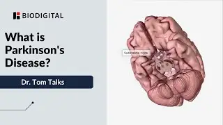 What is Parkinson's Disease?