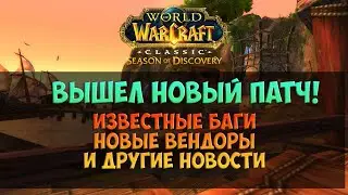 Вышел косячный патч 🟨 Season Of Discovery WoW Classic